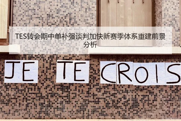 TES转会期中单补强谈判加快新赛季体系重建前景分析