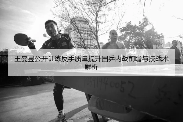 王曼昱公开训练反手质量提升国乒内战前瞻与技战术解析